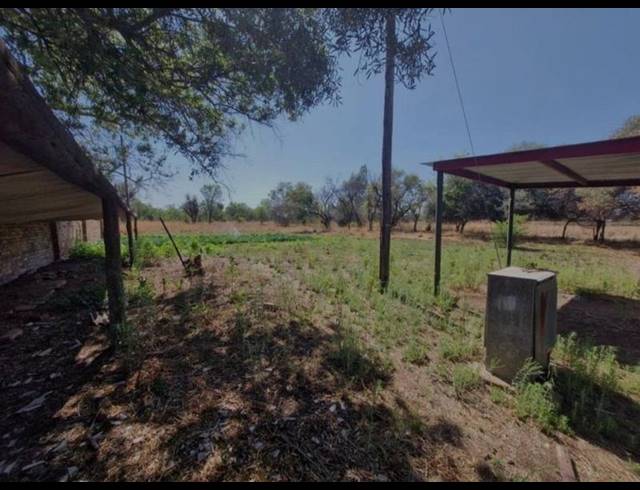 FARM FOR SALE IN BULTFONTEIN